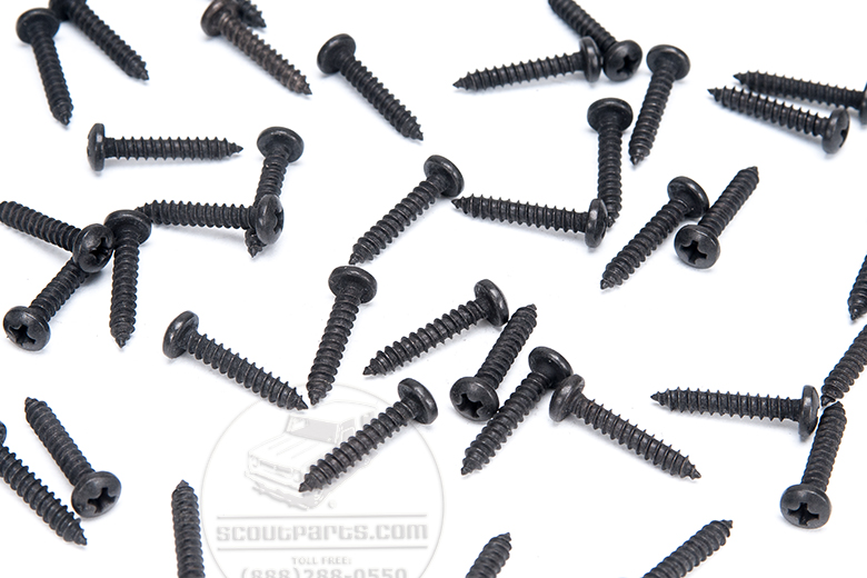 Molding Moulding Clips Stainless Steel Screw